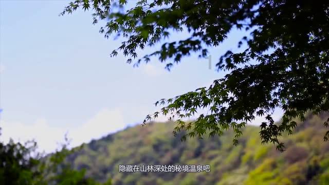 手撕包菜怎样炒又脆又嫩游戏画面