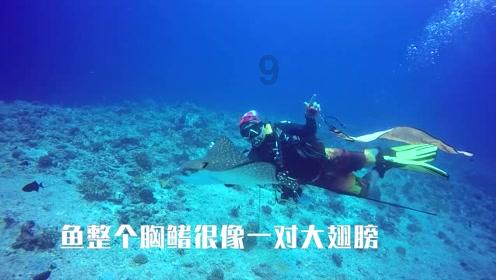 “尔滨”适合开什么车？ 这辆10万起的SUV正正好