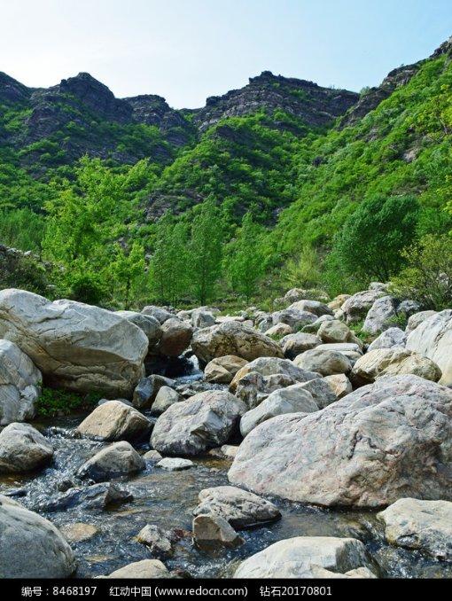 逃离阴森的岛屿