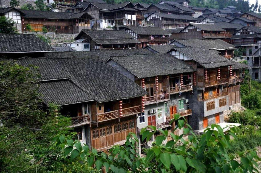 茶云之南,遍地开花!