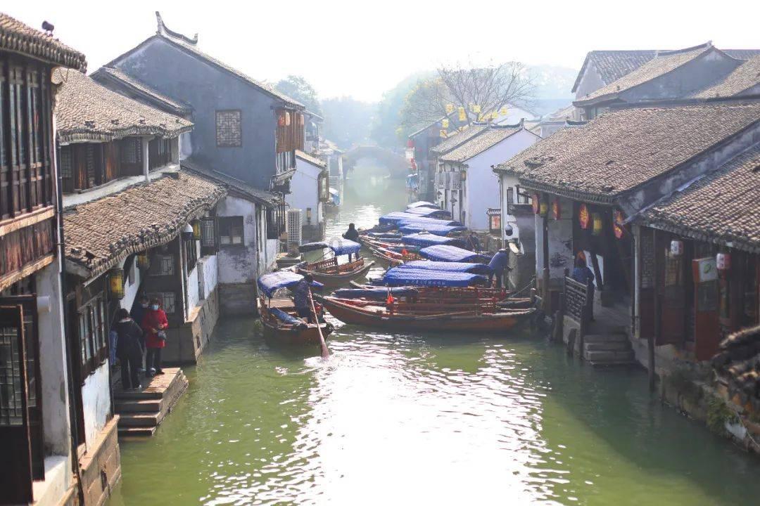 蝎子逃生之地